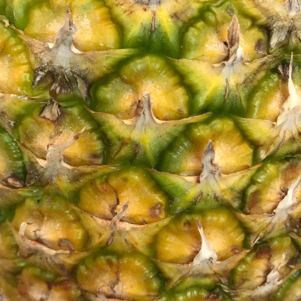 Meet your Posher, Tashia